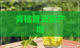 青桔普洱茶产地