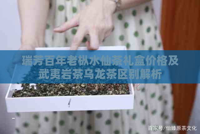 瑞芳百年老枞水仙茶礼盒价格及武夷岩茶乌龙茶区别解析