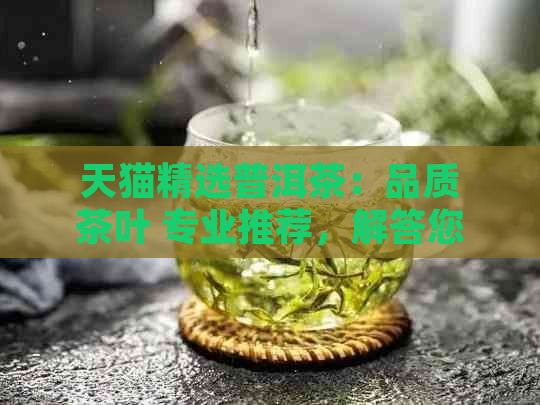 天猫精选普洱茶：品质茶叶 专业推荐，解答您的所有疑问和需求