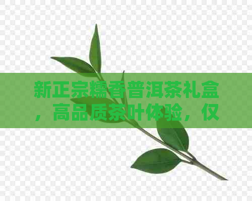 新正宗糯香普洱茶礼盒，高品质茶叶体验，仅售XX元盒！