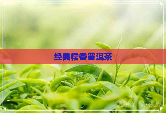 经典糯香普洱茶