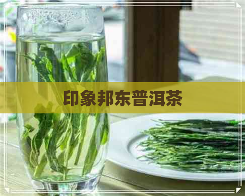 印象邦东普洱茶