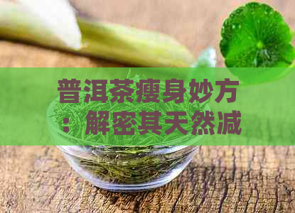 普洱茶瘦身妙方：解密其天然减肥功效与科学饮用方法