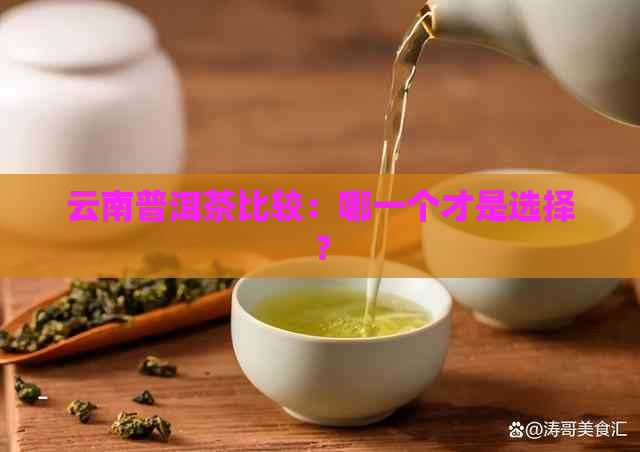 云南普洱茶比较：哪一个才是选择？