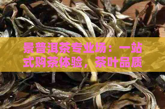 景普洱茶专业场：一站式购茶体验，茶叶品质保障，价格优透明