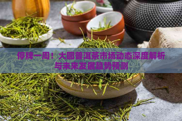 停牌一周！大圆普洱茶市场动态深度解析与未来发展趋势预测