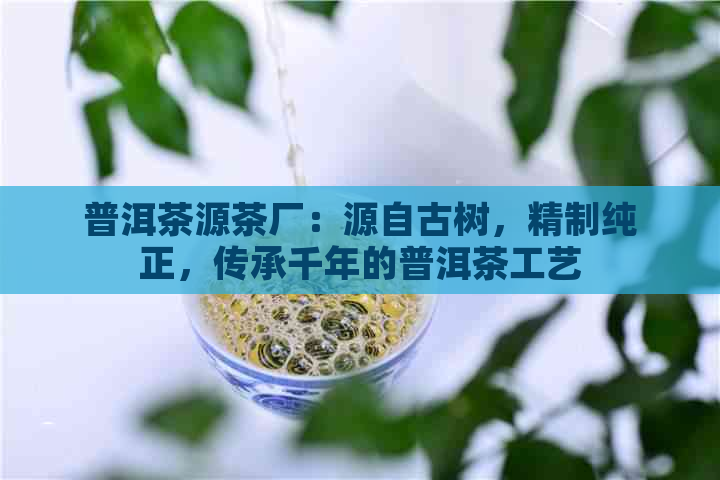 普洱茶源茶厂：源自古树，精制纯正，传承千年的普洱茶工艺