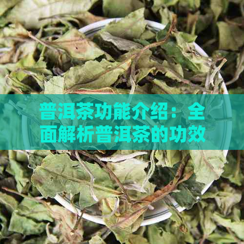 普洱茶功能介绍：全面解析普洱茶的功效与主要作用