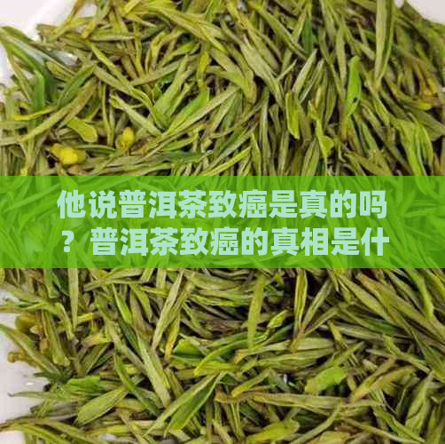 他说普洱茶致癌是真的吗？普洱茶致癌的真相是什么？