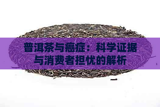 普洱茶与癌症：科学证据与消费者担忧的解析