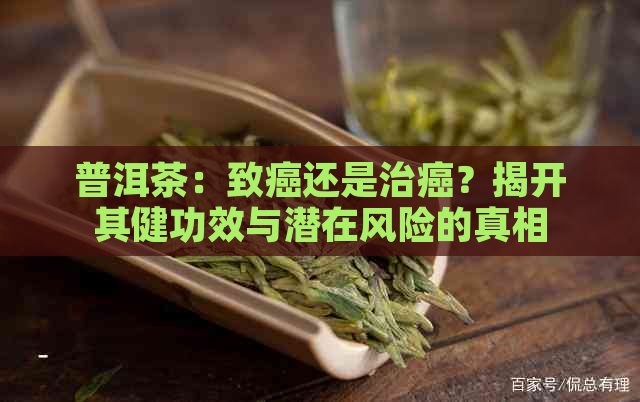 普洱茶：致癌还是治癌？揭开其健功效与潜在风险的真相