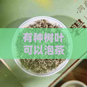 有种树叶可以泡茶喝吗？有吗？树叶能泡茶的树有哪些？