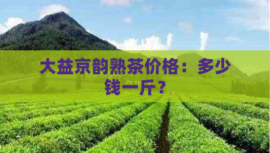 大益京韵熟茶价格：多少钱一斤？