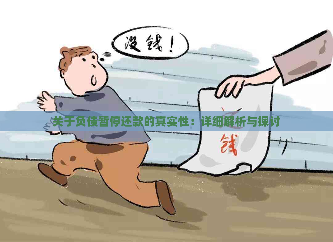 关于负债暂停还款的真实性：详细解析与探讨