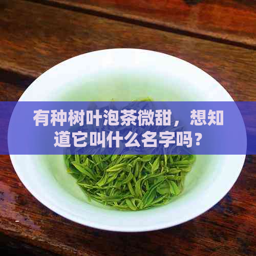 有种树叶泡茶微甜，想知道它叫什么名字吗？