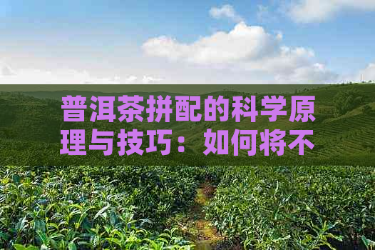 普洱茶拼配的科学原理与技巧：如何将不同的普洱茶叶搭配出口感？