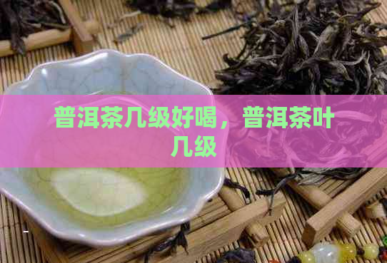 普洱茶几级好喝，普洱茶叶几级