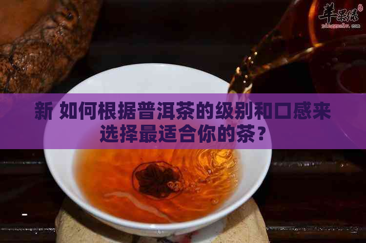 新 如何根据普洱茶的级别和口感来选择最适合你的茶？