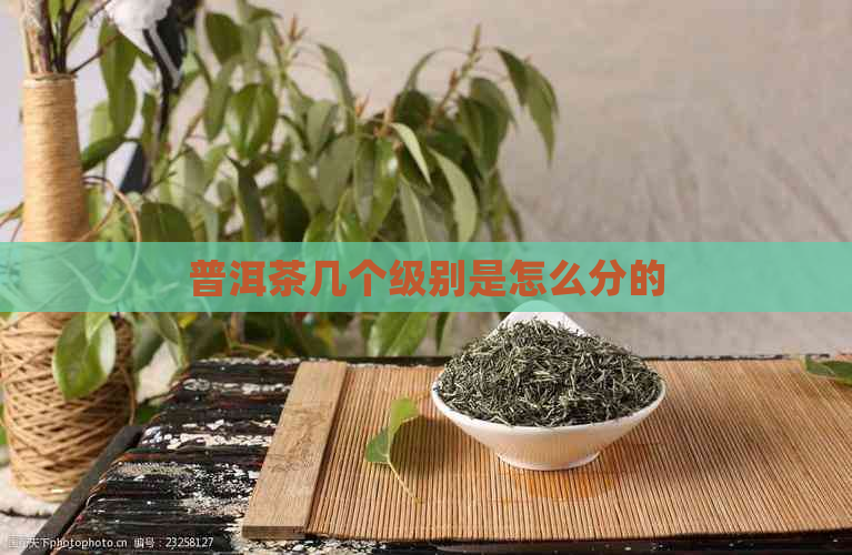 普洱茶几个级别是怎么分的