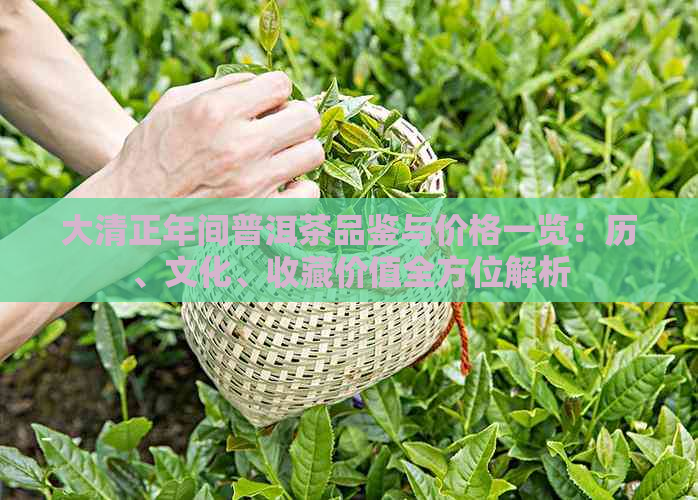 大清正年间普洱茶品鉴与价格一览：历、文化、收藏价值全方位解析