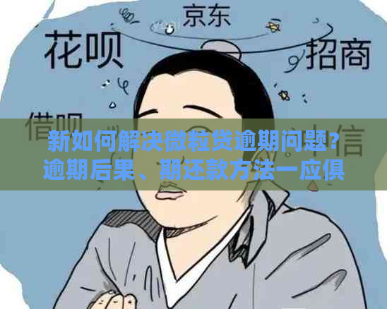 新如何解决微粒贷逾期问题？逾期后果、期还款方法一应俱全！