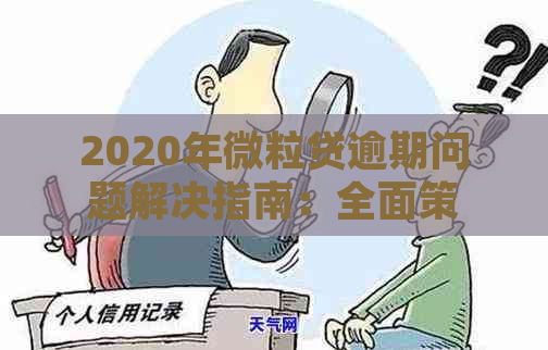 2020年微粒贷逾期问题解决指南：全面策略与应对技巧