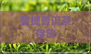 整提普洱茶存放