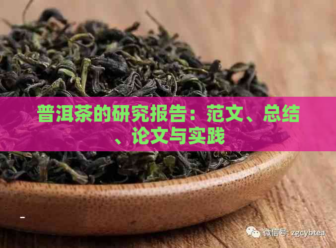 普洱茶的研究报告：范文、总结、论文与实践