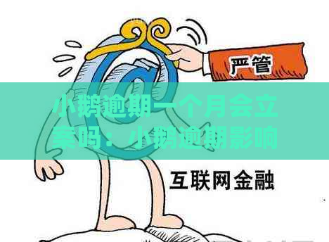 小鹅逾期一个月会立案吗：小鹅逾期影响及处理方法全解析