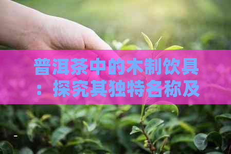 普洱茶中的木制饮具：探究其独特名称及其文化意义