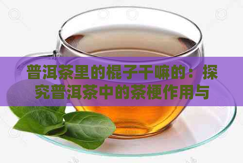 普洱茶里的棍子干嘛的：探究普洱茶中的茶梗作用与价值