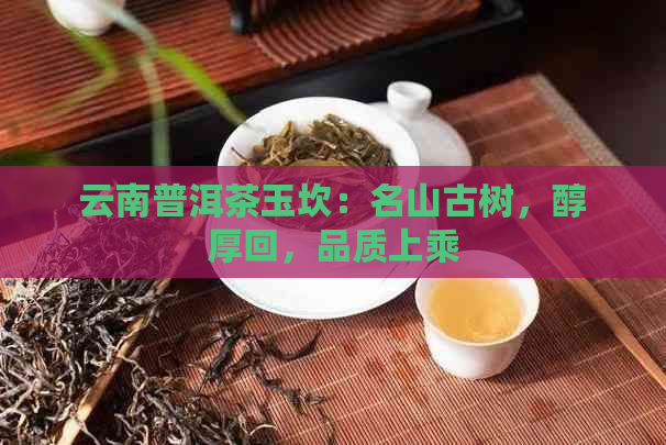 云南普洱茶玉坎：名山古树，醇厚回，品质上乘