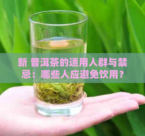 新 普洱茶的适用人群与禁忌：哪些人应避免饮用？