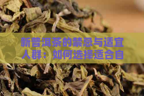 新普洱茶的禁忌与适宜人群：如何选择适合自己的普洱茶？