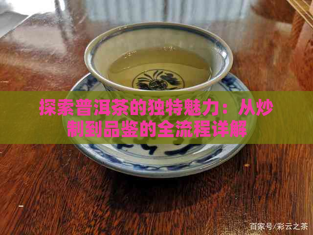 探索普洱茶的独特魅力：从炒制到品鉴的全流程详解