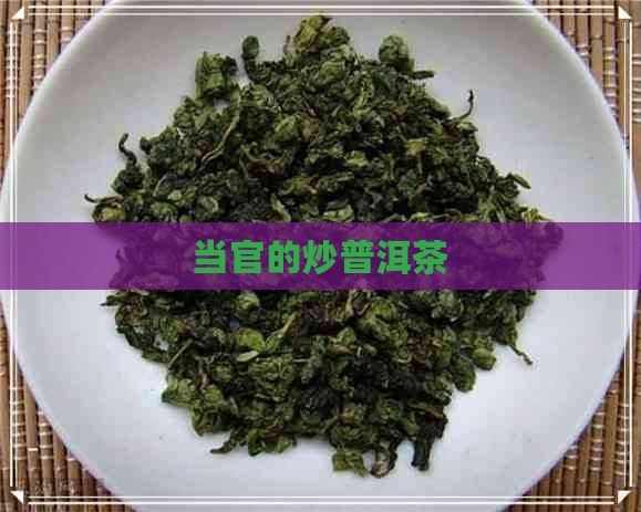 当官的炒普洱茶