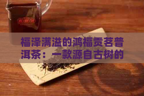 福泽满溢的鸿福贡茗普洱茶：一款源自古树的珍稀茶品