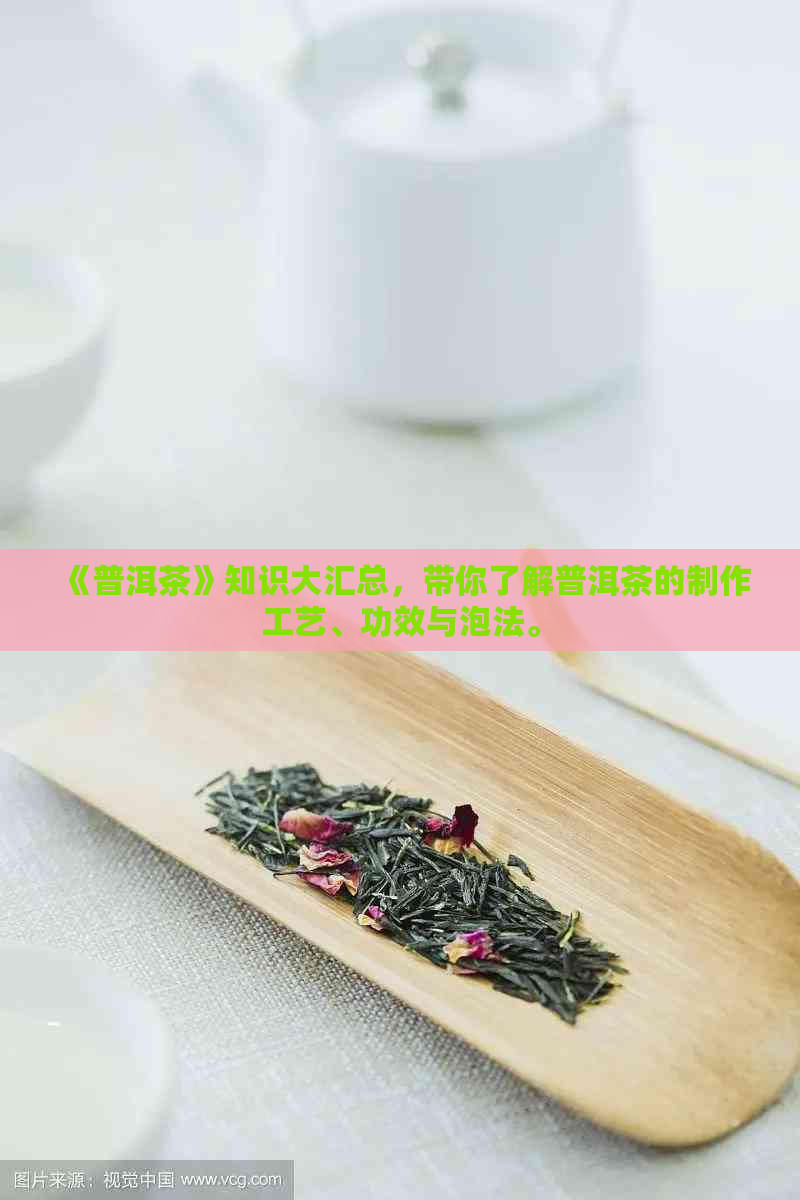 《普洱茶》知识大汇总，带你了解普洱茶的制作工艺、功效与泡法。