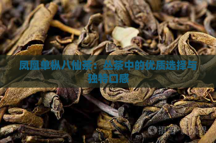 凤凰单枞八仙茶：丛茶中的优质选择与独特口感