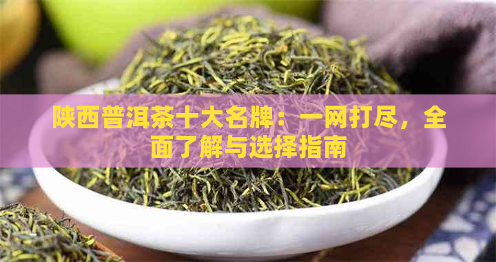 陕西普洱茶十大名牌：一网打尽，全面了解与选择指南