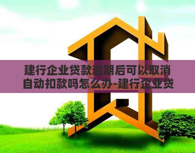 建行企业贷款逾期后可以取消自动扣款吗怎么办-建行企业贷款逾期一天如何不上