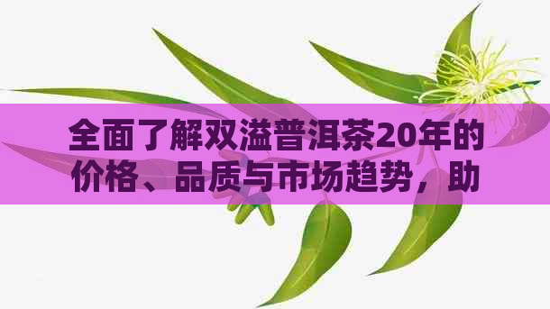 全面了解双溢普洱茶20年的价格、品质与市场趋势，助您做出明智的投资选择