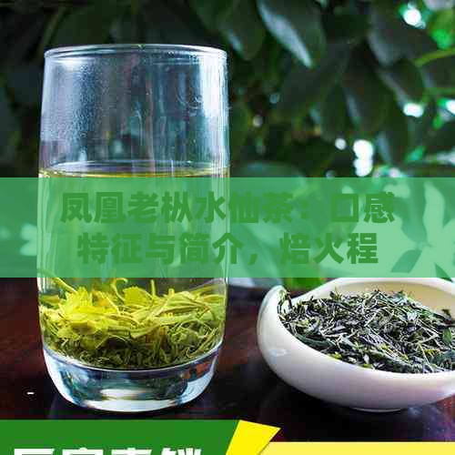 凤凰老枞水仙茶：口感特征与简介，焙火程度是否属于重火？