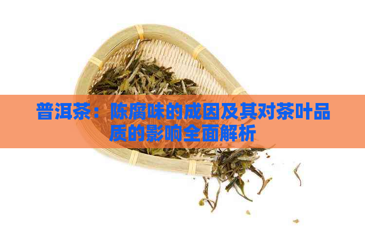 普洱茶：陈腐味的成因及其对茶叶品质的影响全面解析