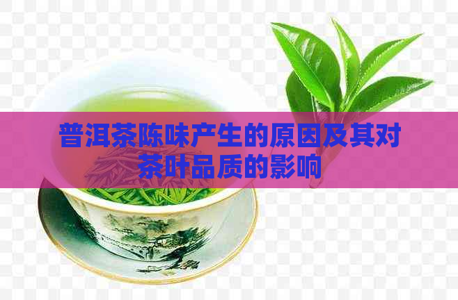 普洱茶陈味产生的原因及其对茶叶品质的影响