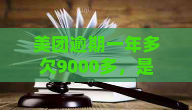 美团逾期一年多欠9000多，是否会起诉我？法律风险分析与应对策略