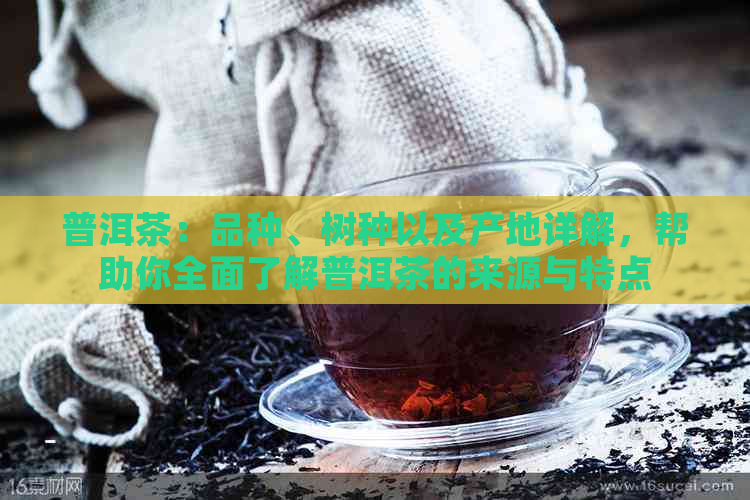 普洱茶：品种、树种以及产地详解，帮助你全面了解普洱茶的来源与特点