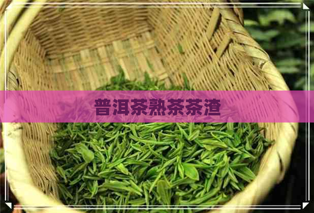 普洱茶熟茶茶渣