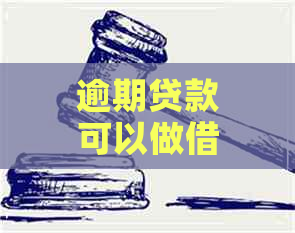 逾期贷款可以做借新还旧业务吗