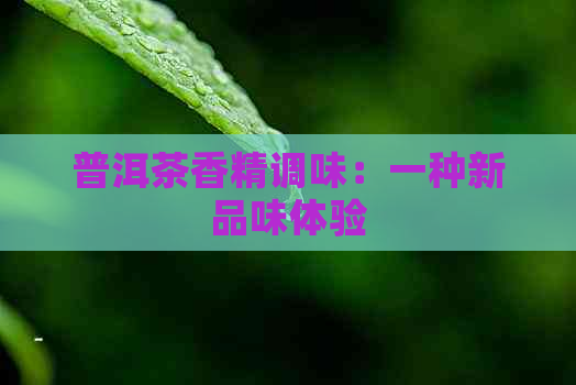 普洱茶香精调味：一种新品味体验